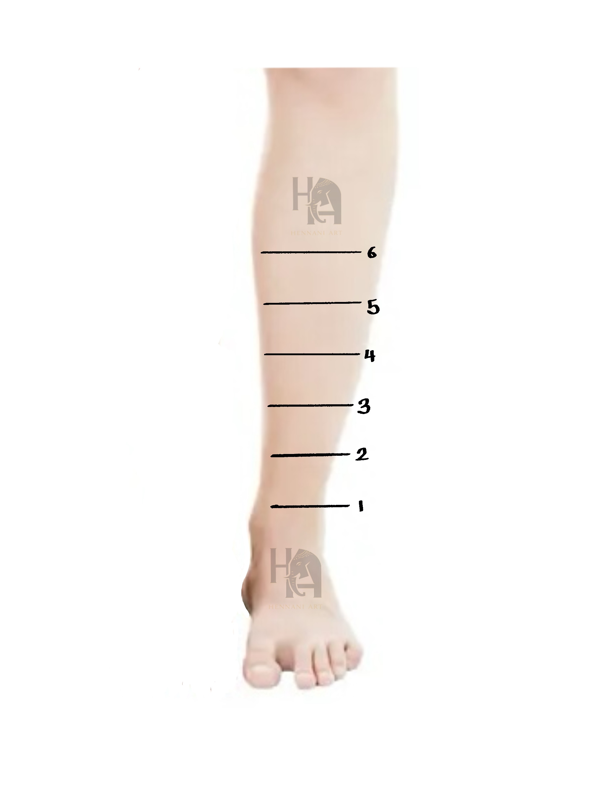 Feet henna length reference guide