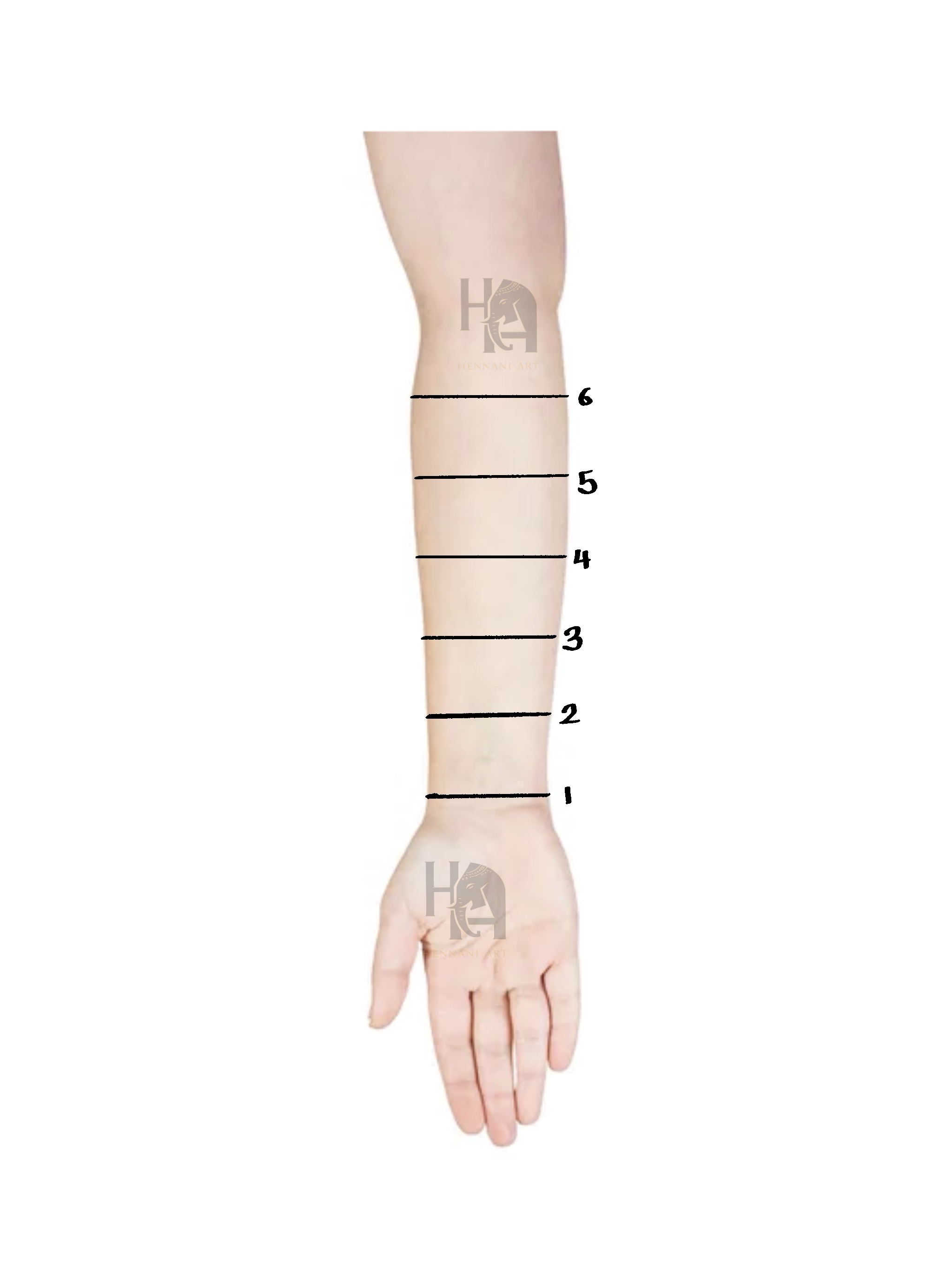 Hand henna length reference guide
